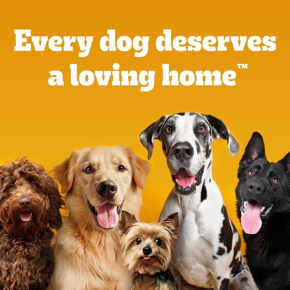 Pedigree DentaStix Dental Treats for Small Dogs 5-10kg | Daily Oral Care Chews | 112-Count Mega Pack (16 x 7 Sticks) | Promotes Fresh Breath & Healthy Teeth - Perfect for Training Rewards and Between-Meal Snacks