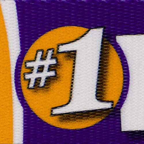 Purple and Gold Football Fan