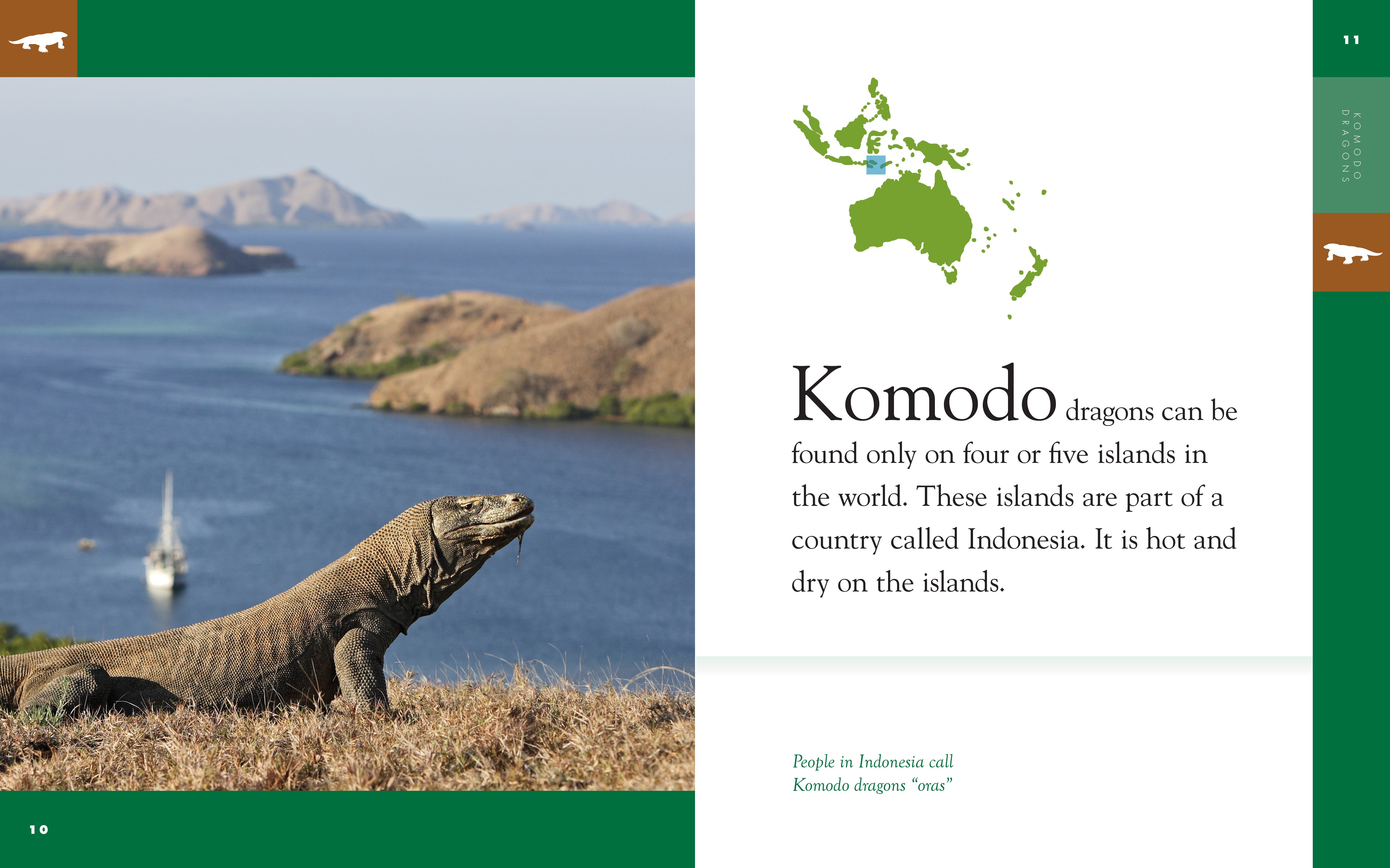 Amazing Animals (2014): Komodo Dragons - Wildlife Documentary DVD | Educational Nature Films for Kids & Adults | Perfect for Classroom Learning & Home Entertainment