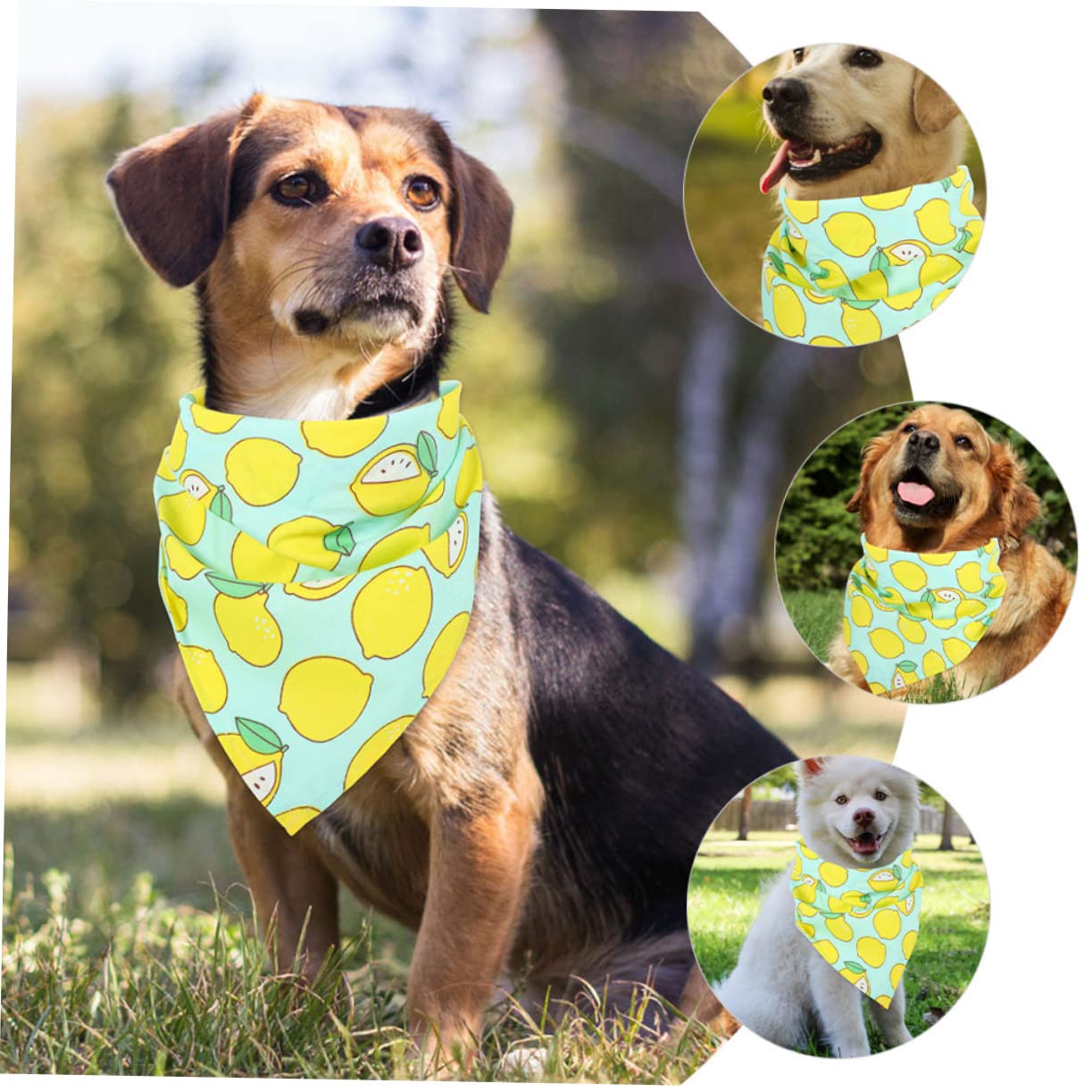 SUPVOX Dog Birthday Party Supplies - Triangle Bandana with Fruit Design for Pets - Perfect for Birthday Celebrations, Pet Parties & Fun Photo Shoots
