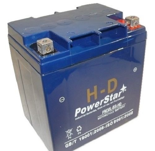 PowerStar PM30L-BS-HD-2000 YTX30L-BS High Performance Motorcycle Battery for Harley-Davidson - 442 CCA, Maintenance-Free, AGM Technology - Perfect for Road Trips, Cruising & Long Rides
