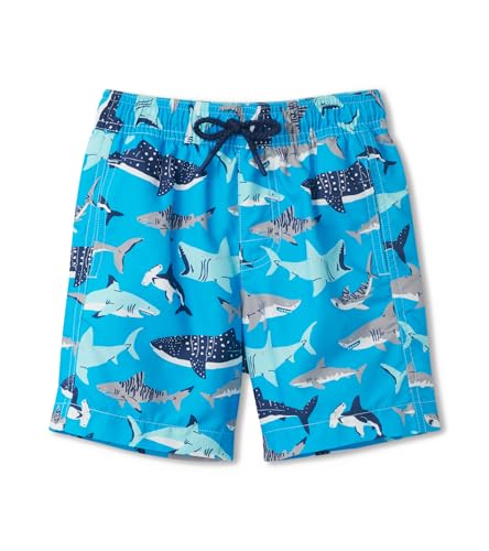 Deep Sea Sharks