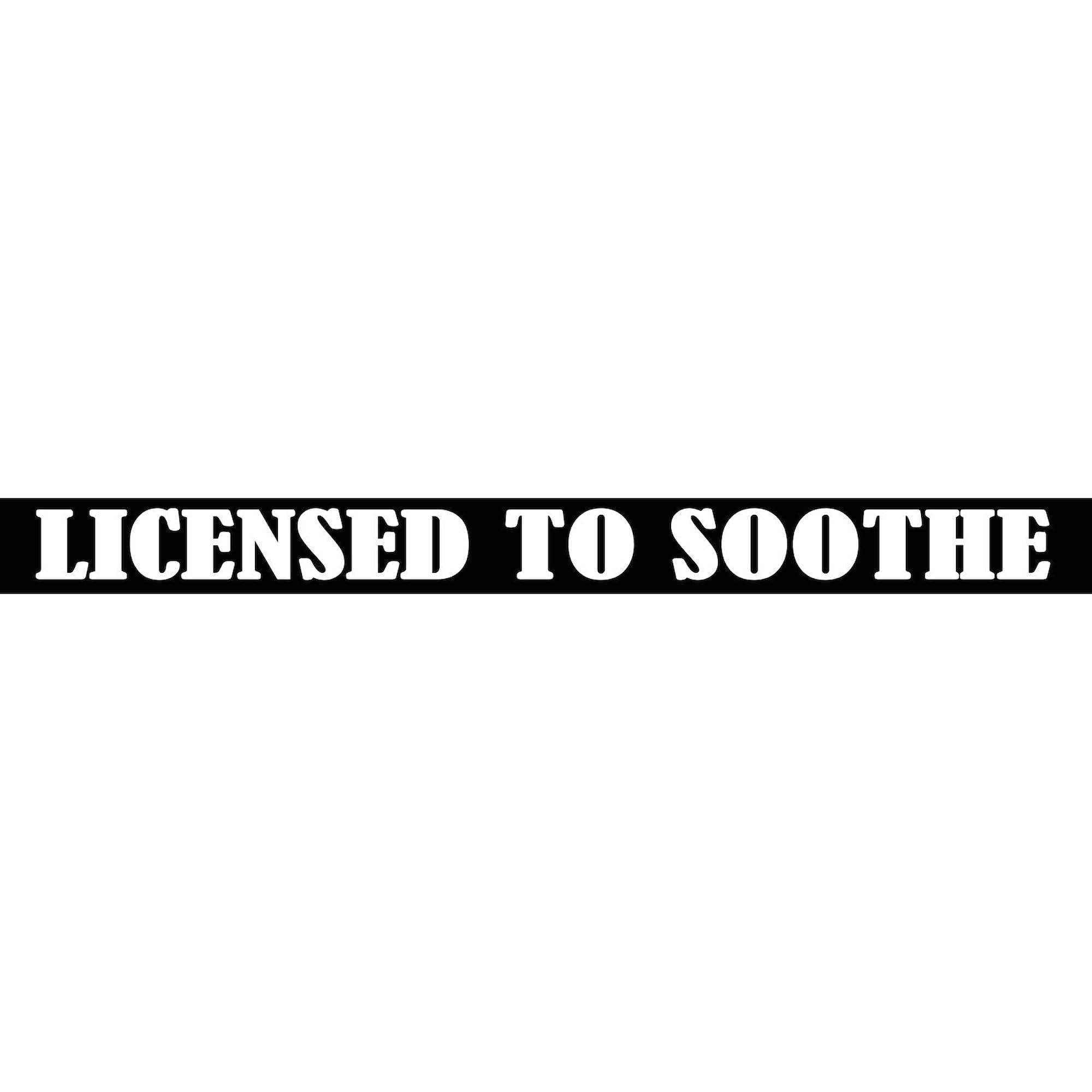 Massage Therapist License Plate Frame - Chrome Metal Tag Holder for Professional Display | Perfect for Massage Clinics, Offices & Gifts
