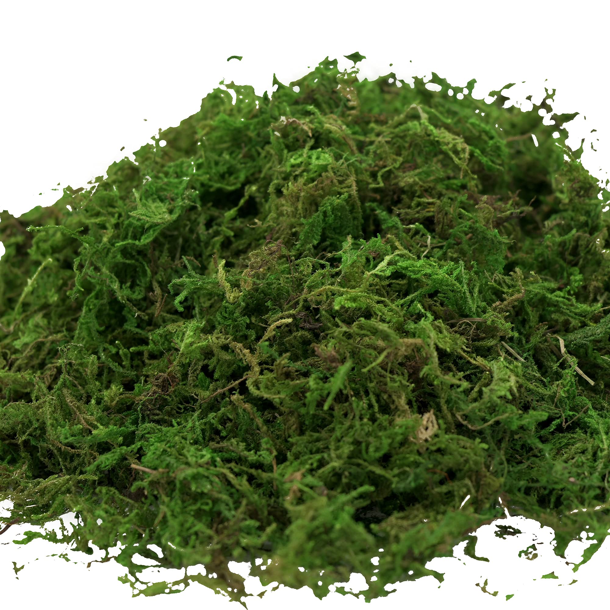 Usmola Artificial Fake Moss - 8OZ Realistic Green Craft Moss for Potted Plants, Centerpieces, Terrariums & DIY Home Decor - Perfect for Fairy Gardens, Floral Arrangements & Tabletop Displays