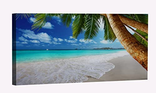 Beach Palm