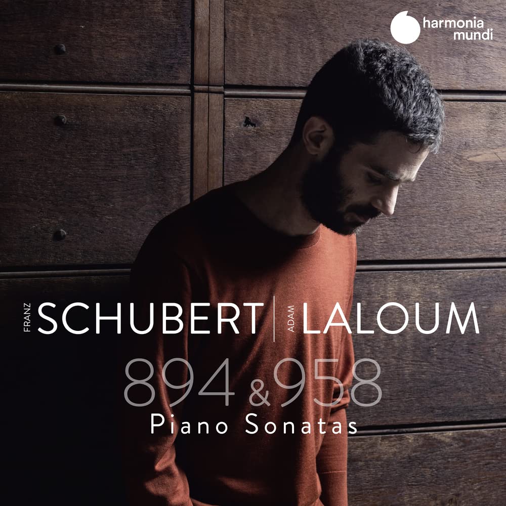 Schubert Piano Sonatas D 894 & D 958 - Classical Music Masterpieces for Relaxation, Study & Concert Performance