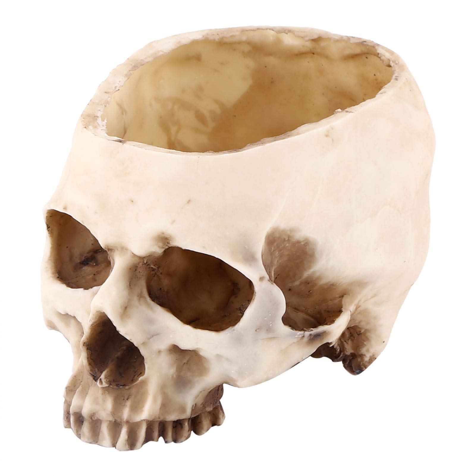 Ginorgee Skull Planter - 1pc Resin Skull Head Flower Pot for Succulents, Air Plants & Home Decor | Gothic Garden & Halloween Decorations