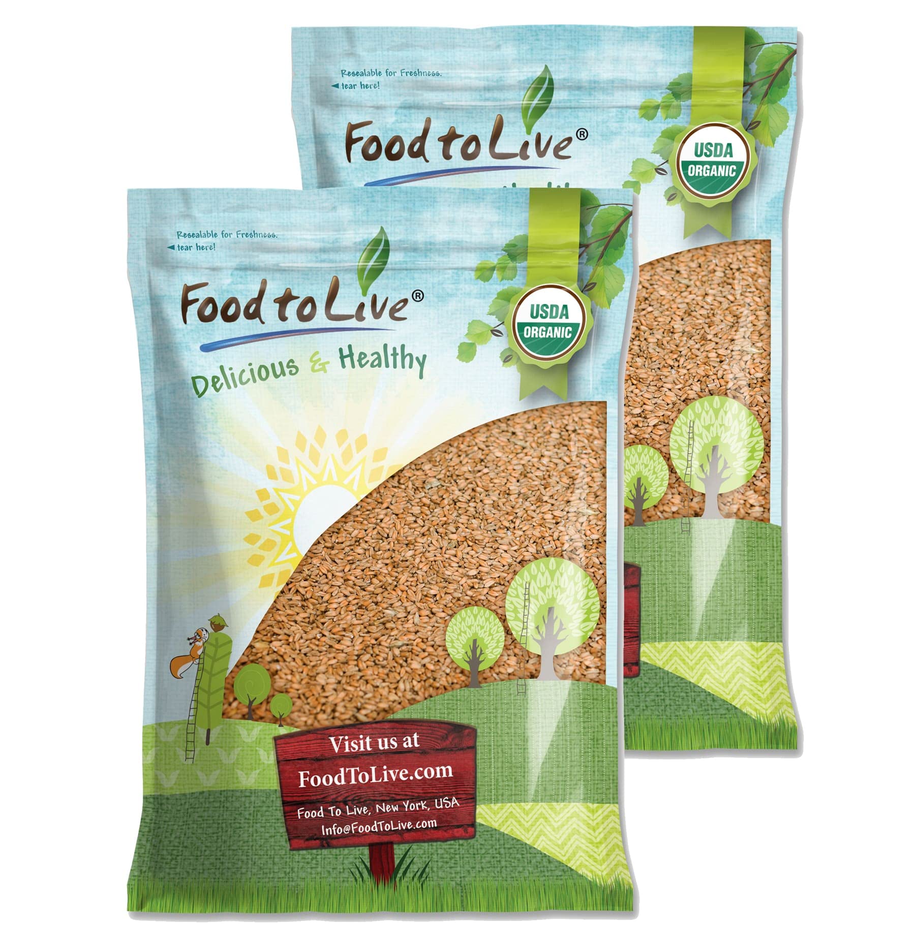 Organic Hulled Barley 25 lbs - Non-GMO, 100% Whole Grain, Kosher & Vegan Bulk Barley - High Fiber Superfood for Home Brewing, Grinding, Chili, Hot Cereal, Salads & Soup - Made in USA - Perfect for Healthy Cooking, Baking & Meal Prep