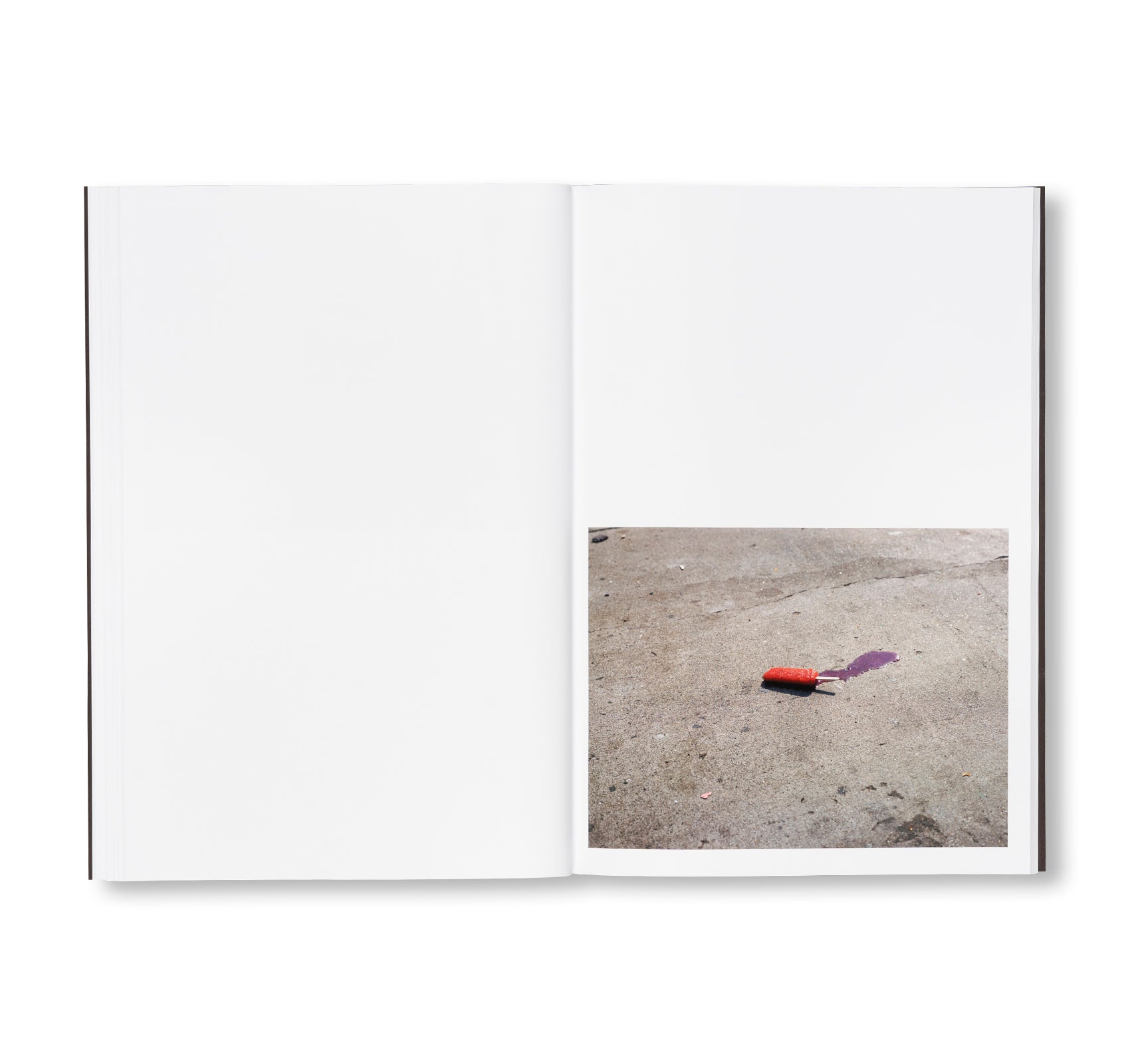Pieter Hugo's CALIFORNIAN WILDFLOWERS - Stunning Floral Photography Book for Home Decor & Nature Lovers - Perfect for Coffee Tables, Gifts, and Art Collections