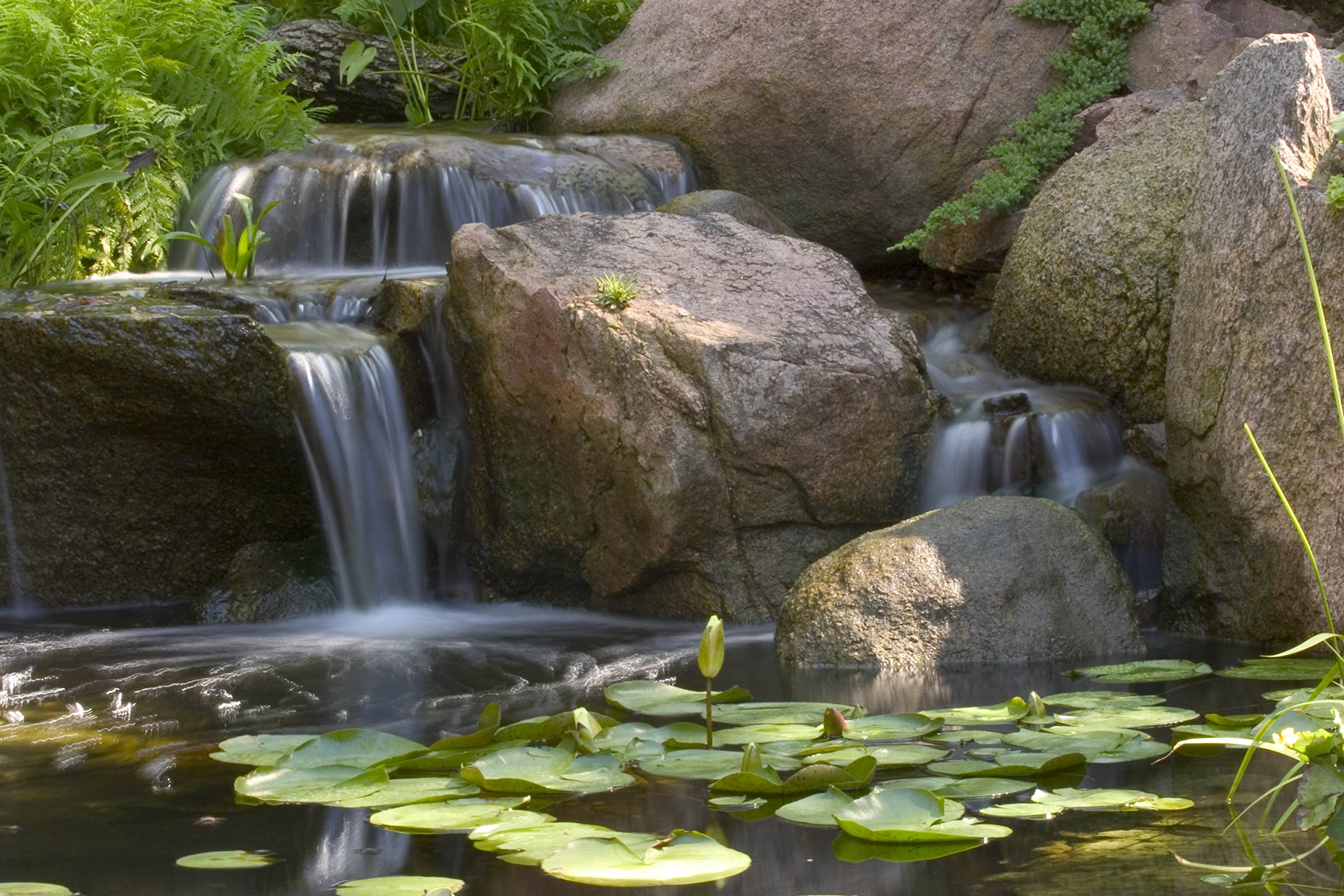 Aquascape Pond Starter Bacteria Water Treatment for Ponds, Water Features, and Fountains | 16-Ounce | 96014 | Ideal for Pond Maintenance and Water Clarity