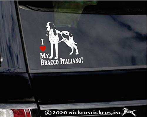 I Love My Bracco Italiano