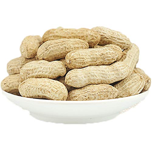 OUYANGHENGZHI Salted Peanuts in Shell - Crunchy Roasted Peanuts Snack, 500g/17.6oz - Perfect for Movie Nights, Parties, and Healthy On-the-Go Snacking