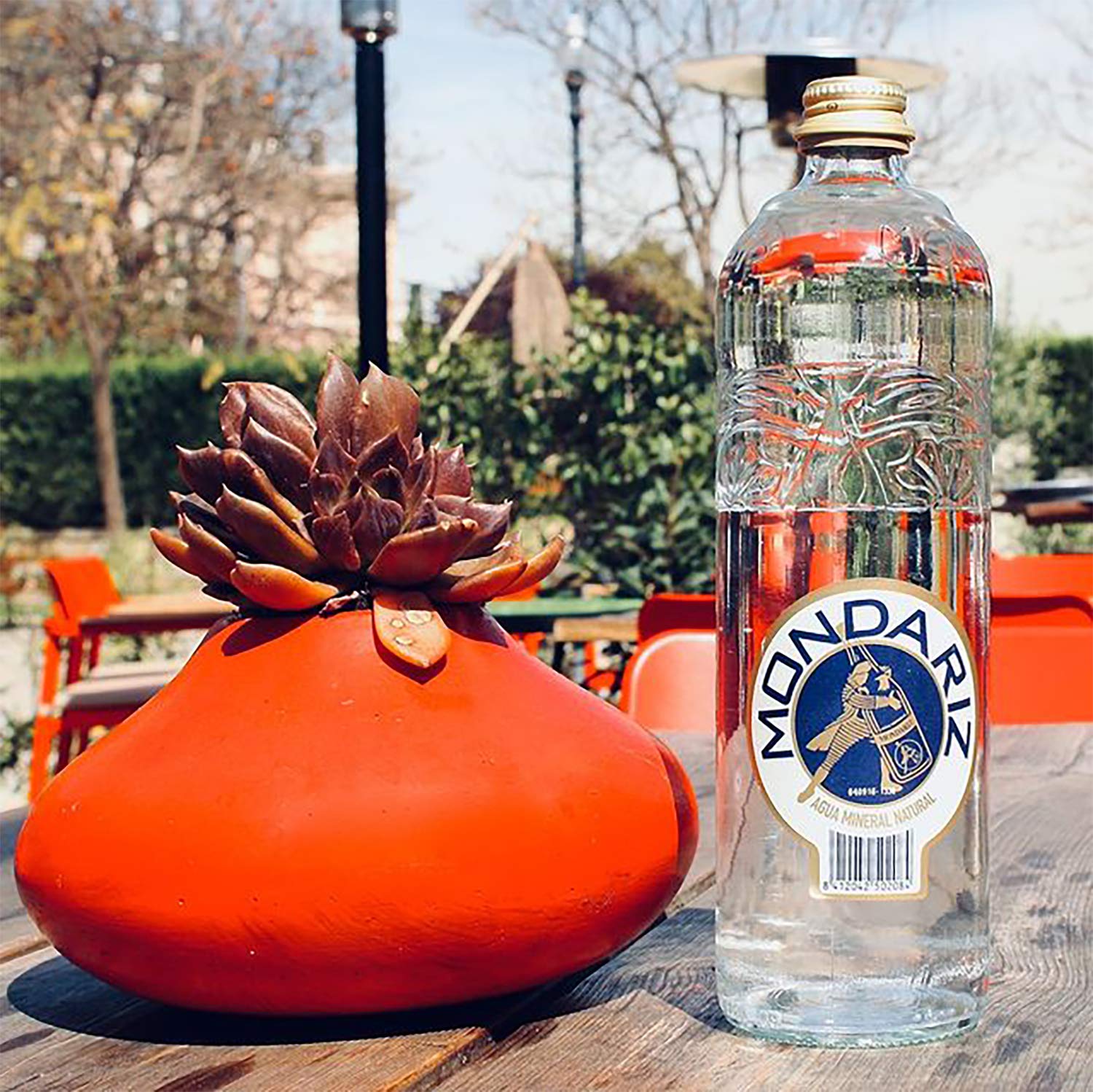 Mondariz Still Natural Mineral Water - 12 Glass Bottles (750mL Each) - Premium Spanish Spring Water for Home, Office & Fine Dining
