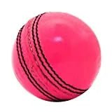 Premium Cricket Practice Ball for Training & Match Play - High-Quality Leather Cricket Ball for Indoor & Outdoor Practice - Perfect for Cricket Nets, Backyard Drills & Coaching Sessions