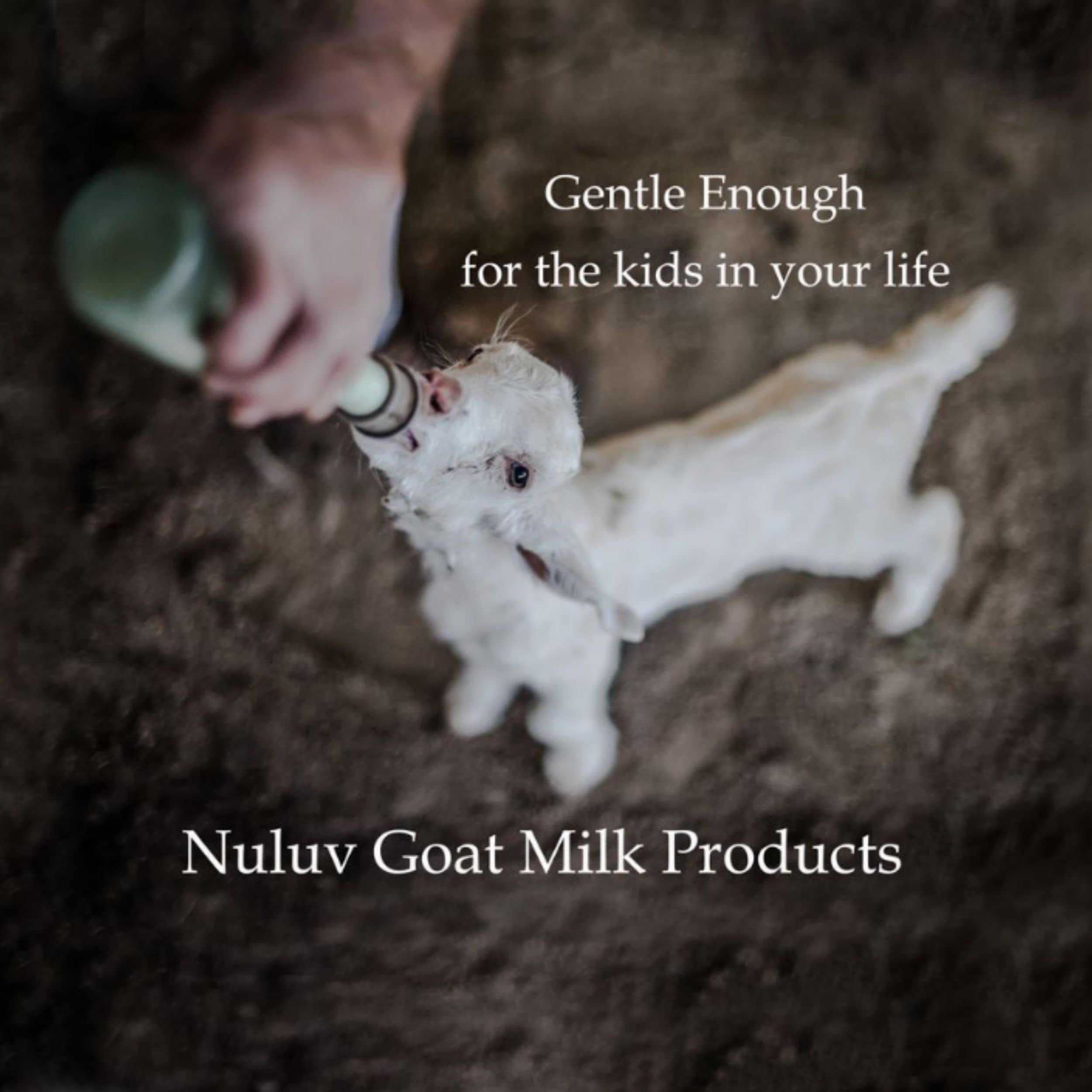Goat Milk Bar Soap - Natural Handmade Skin Cleanser for Dry, Sensitive & All Skin Types | Eco-Friendly, Herbal Mist Scented (Pack of 4) | Gentle Face & Body Wash for Daily Skincare Routine