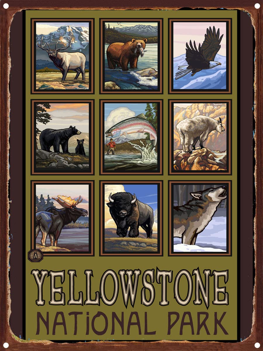 Yellowstone National Park Wildlife Metal Art Print - Rustic Animal Collage Wall Decor by Artist Paul A. Lanquist - 8.5x11.5 Inches - Perfect for Cabin, Lodge & Nature Lover's Home Decor