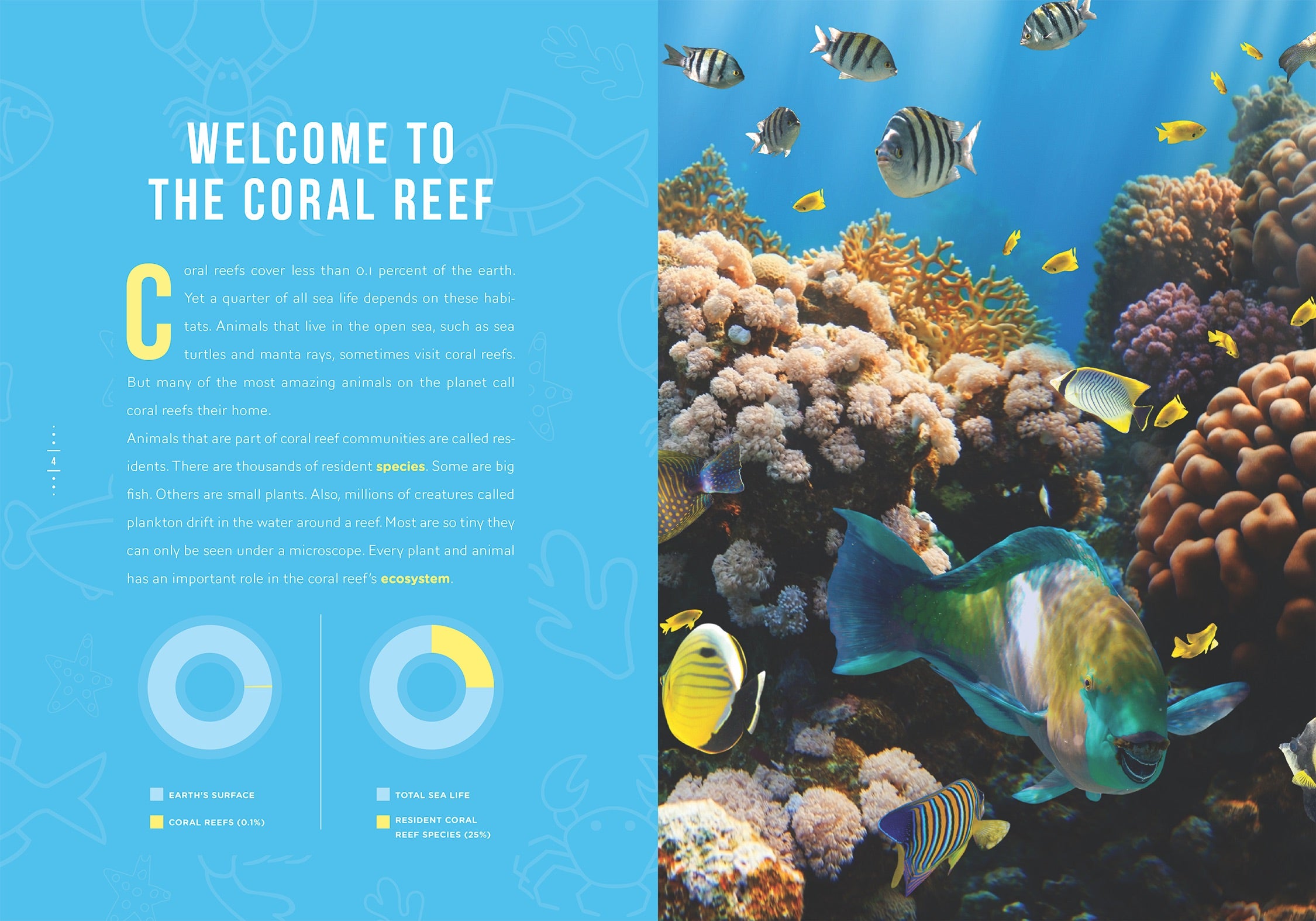 Coral Reef Communities - Marine Ecosystem Guide for Aquarium Enthusiasts & Ocean Conservationists | Perfect for Home Aquariums, Educational Projects & Marine Biology Studies