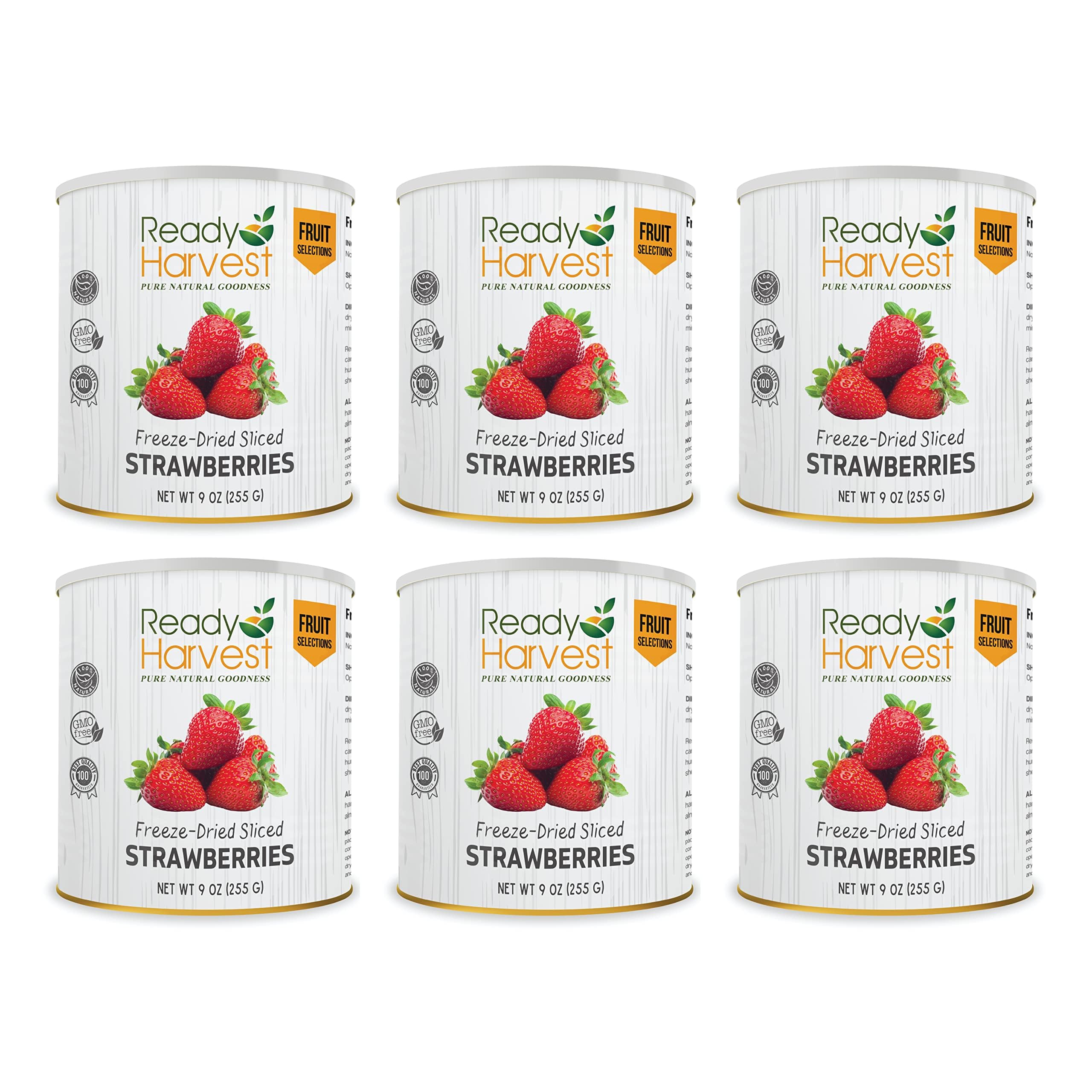 Freeze Dried Strawberries in #10 Can - 30 Year Shelf Life Emergency Food | Healthy Snacks for Camping, Hiking & Survival | Hurricane Preparedness Supplies | Long-Term Pantry Storage | 6-Pack Bulk Survival Food for Natural Disasters