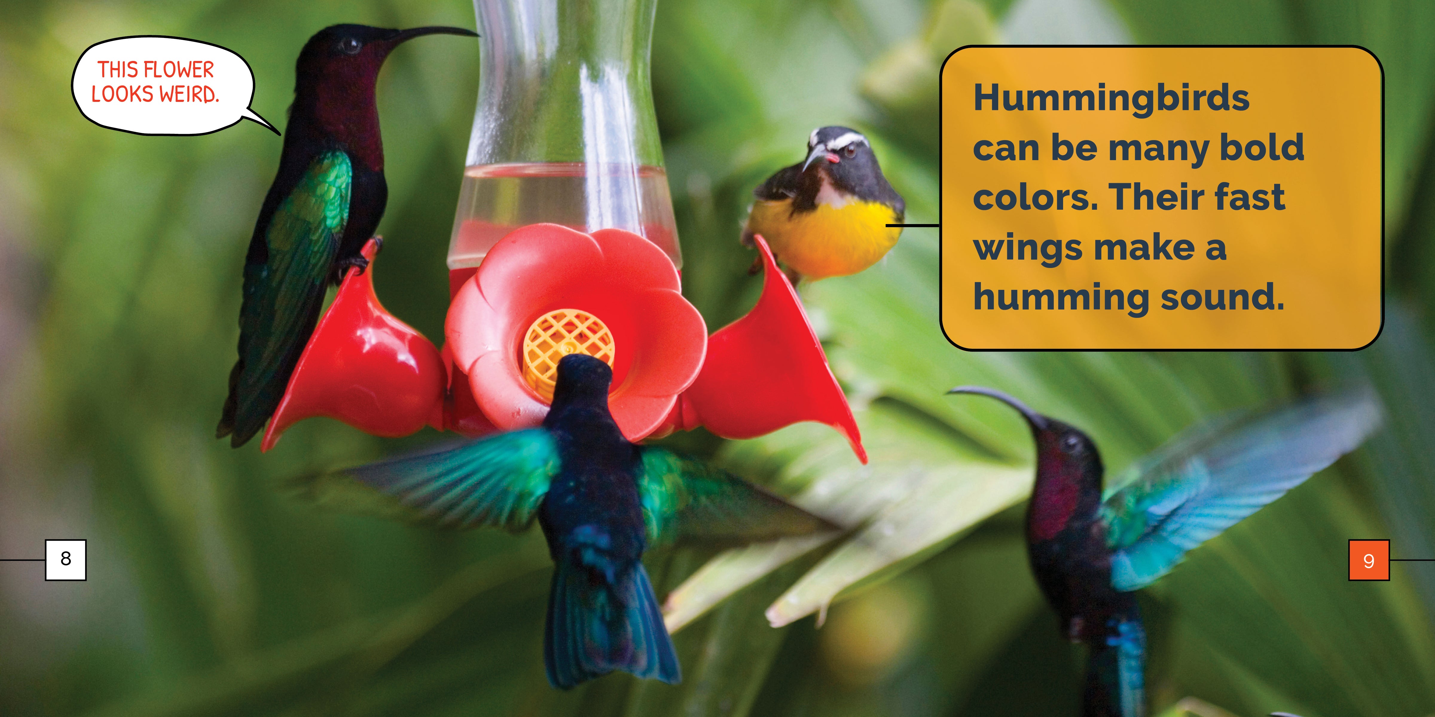 Hummingbirds Marvels - Stunning Hummingbird Gifts & Decor for Nature Lovers | Perfect for Home Decor, Garden Ornaments & Bird Watching Enthusiasts