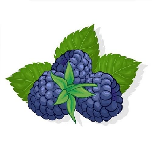 Blackberry Spice