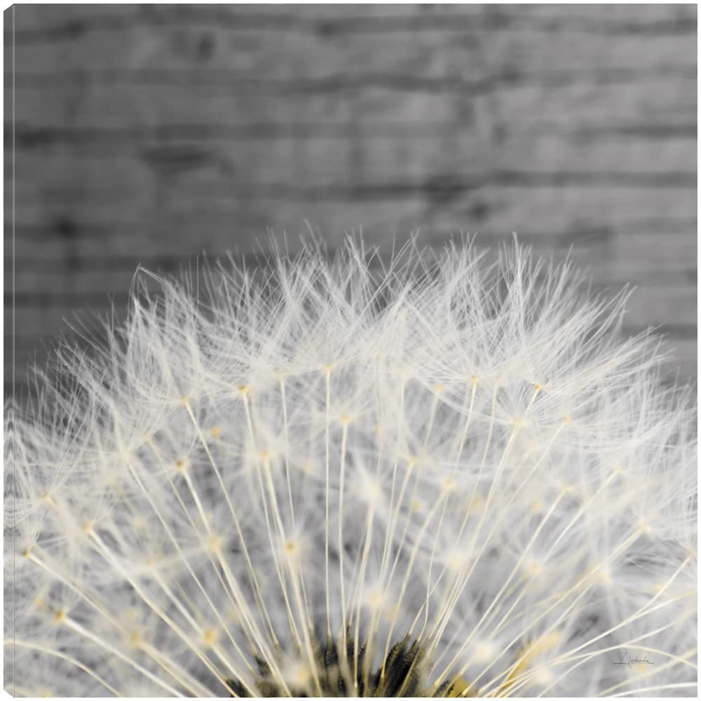 Delicate Dandelion Fine Art Canvas Wall Decor - 22x22 Inch Ready-to-Hang Painting for Living Room, Bedroom, Office & More - Perfect for Home Decor, Housewarming Gifts & Interior Design