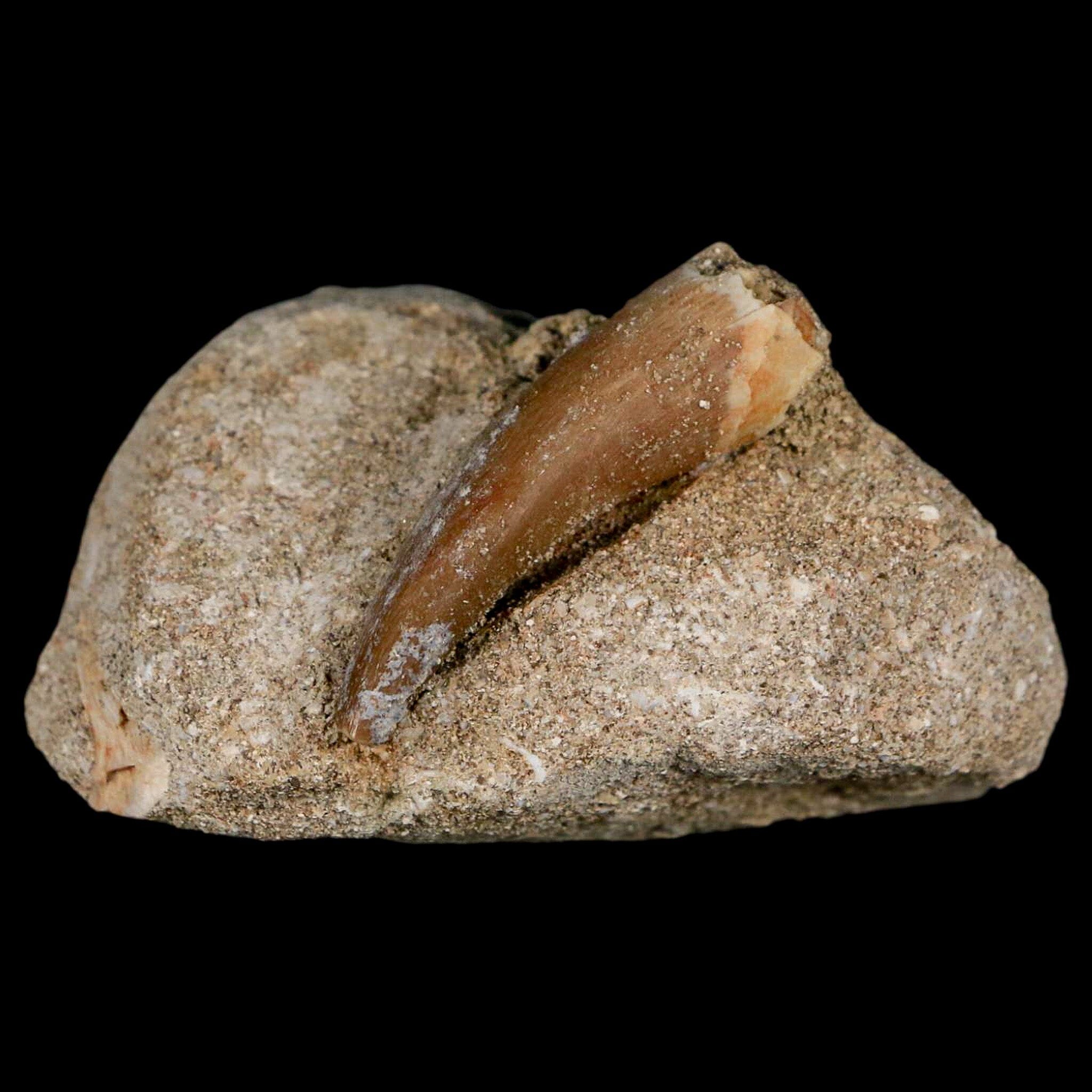 1.6