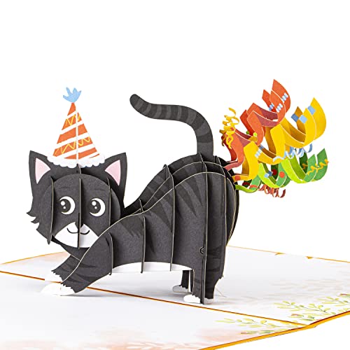 Birthday Cute Cat Card with Hat