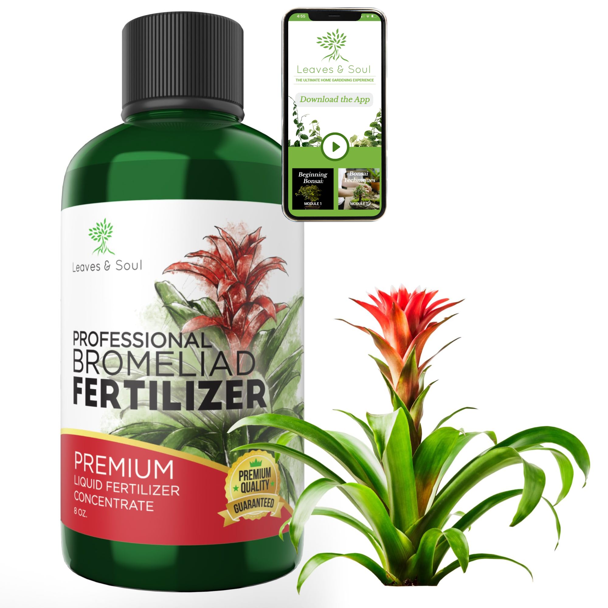 Professional Liquid Bromeliad Plant Fertilizer 3-1-2 Concentrate for Healthy Plants & Flowers | Multi-Purpose Gardening Supplies | 8 oz Bottle | Perfect for Indoor Houseplants, Outdoor Gardens & Tropical Plant Care