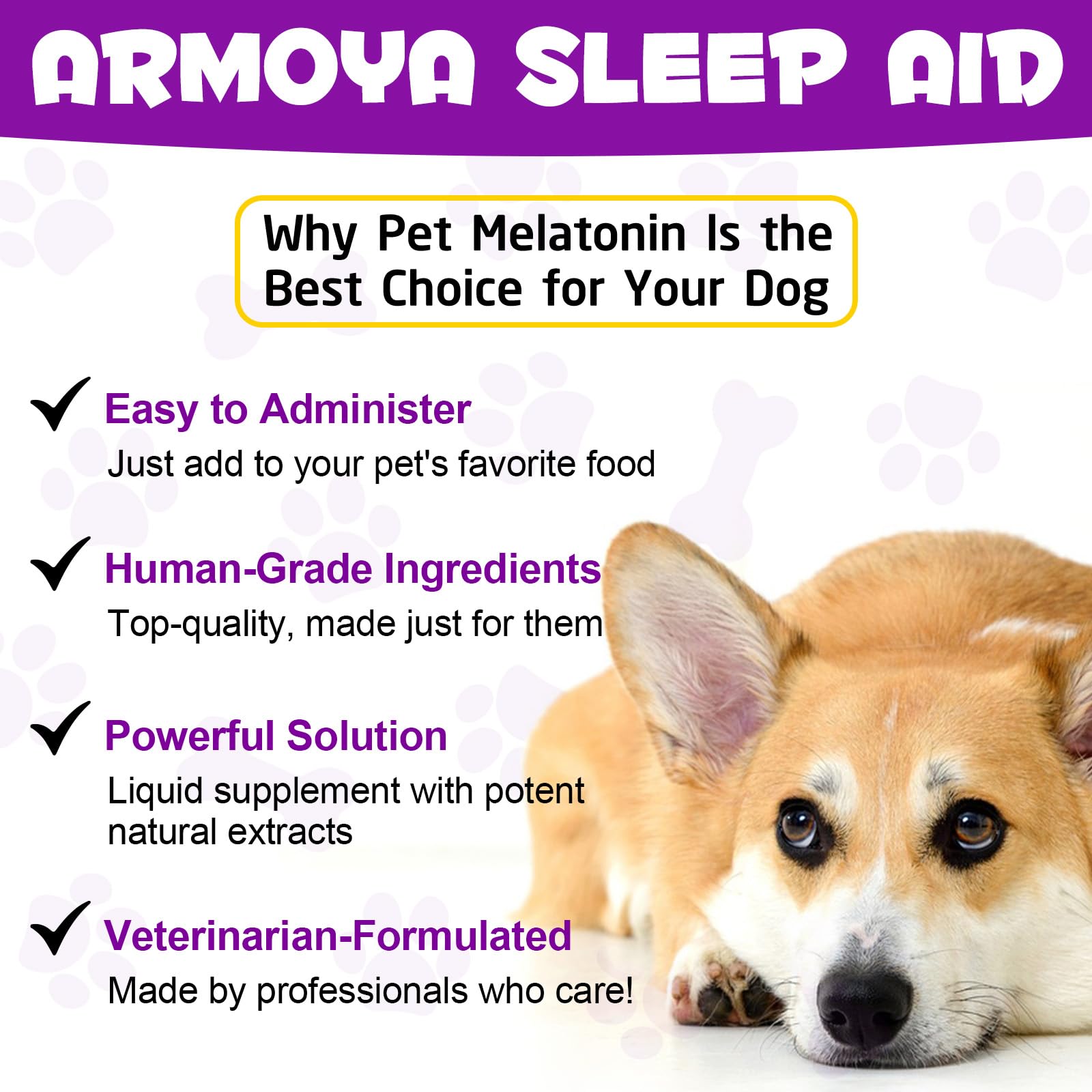 Melatonin for Dogs & Cats - Natural Anxiety & Stress Relief Supplement - Promotes Relaxation & Deep Sleep - Small & Large Pets - Calming Aid for Travel, Thunderstorms & Separation Anxiety