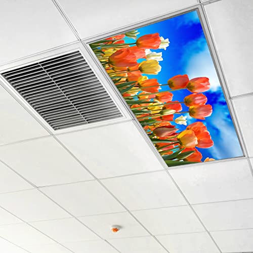 Orange Tulip
