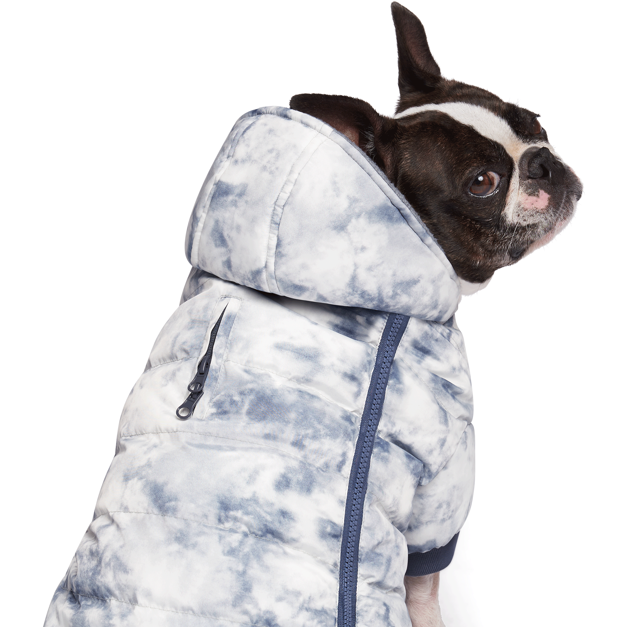 Canada Pooch Prism Puffer Dog Jacket - Waterproof & Reflective Winter Coat for Small, Medium & Large Dogs - Perfect for Cold Weather Walks & Outdoor Adventures
