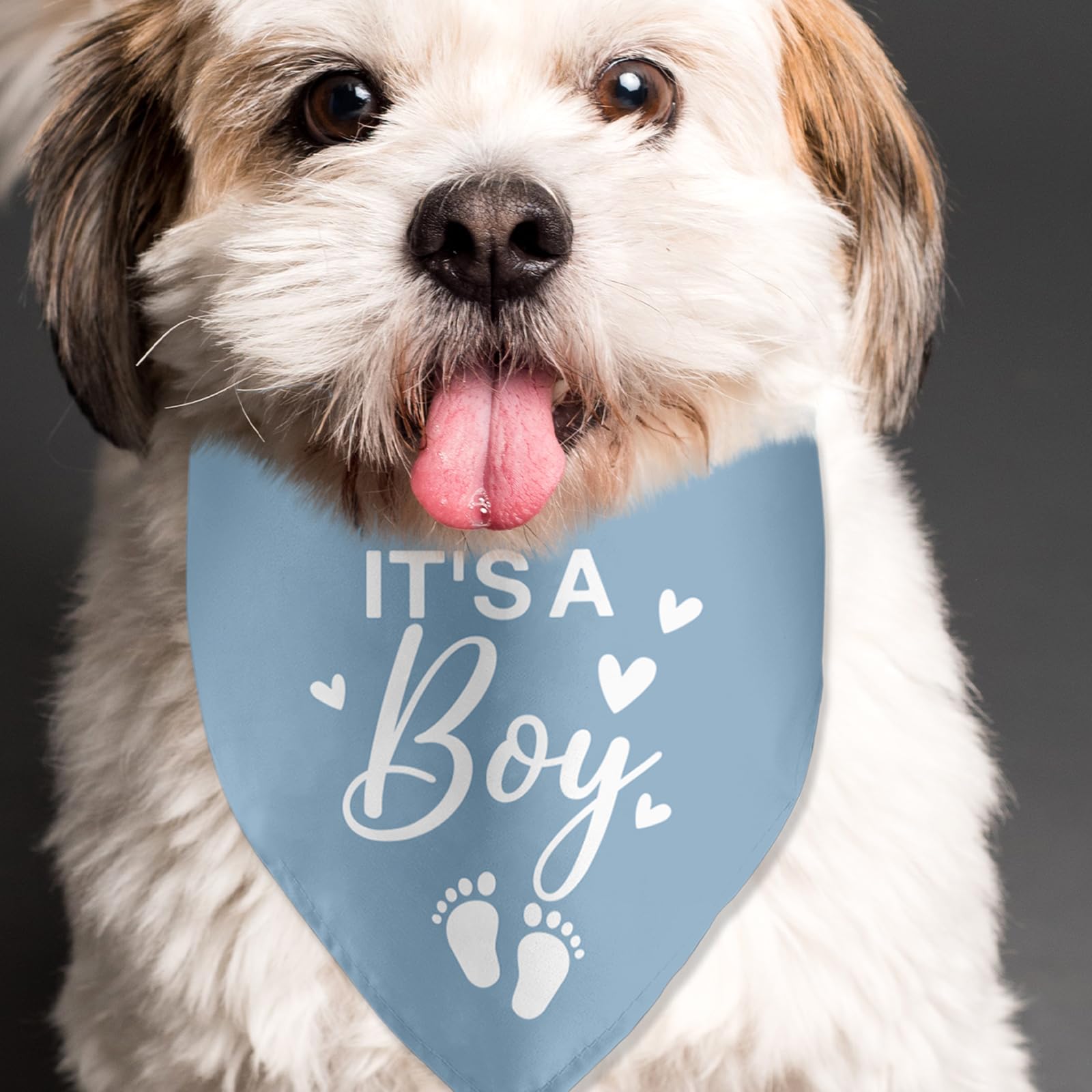 Blue Gender Reveal Dog Bandana - It's a Boy Pregnancy Announcement Pet Scarf for Dogs | Cute Pet Accessories for Dog Lovers | Perfect for Gender Reveal Parties, Baby Showers & Social Media Announcements