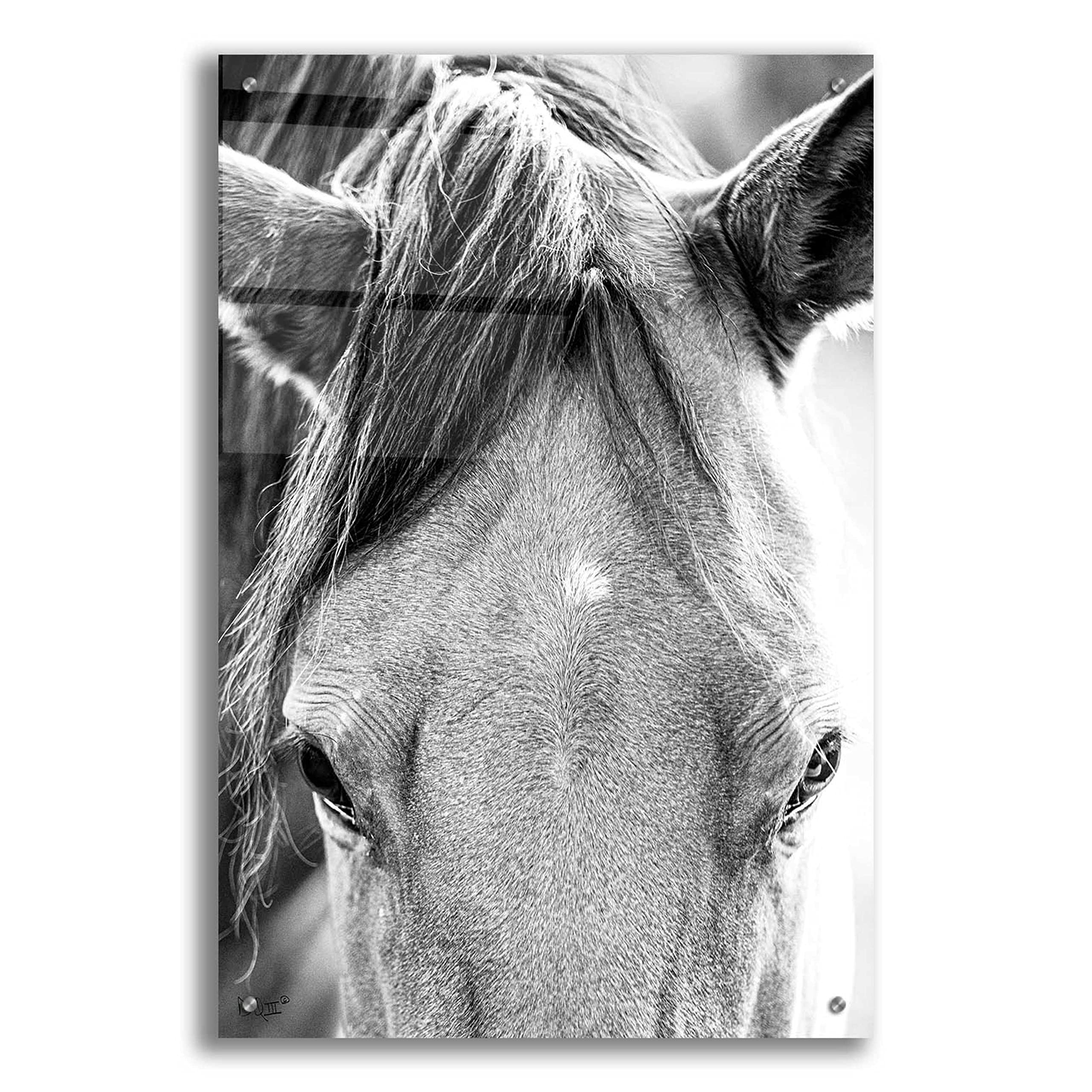 Epic Art 'Trophy Winner I' by Donnie Quillen - Premium Acrylic Glass Wall Art Painting 24x36 Inches - Modern Home Decor for Living Room, Bedroom & Office