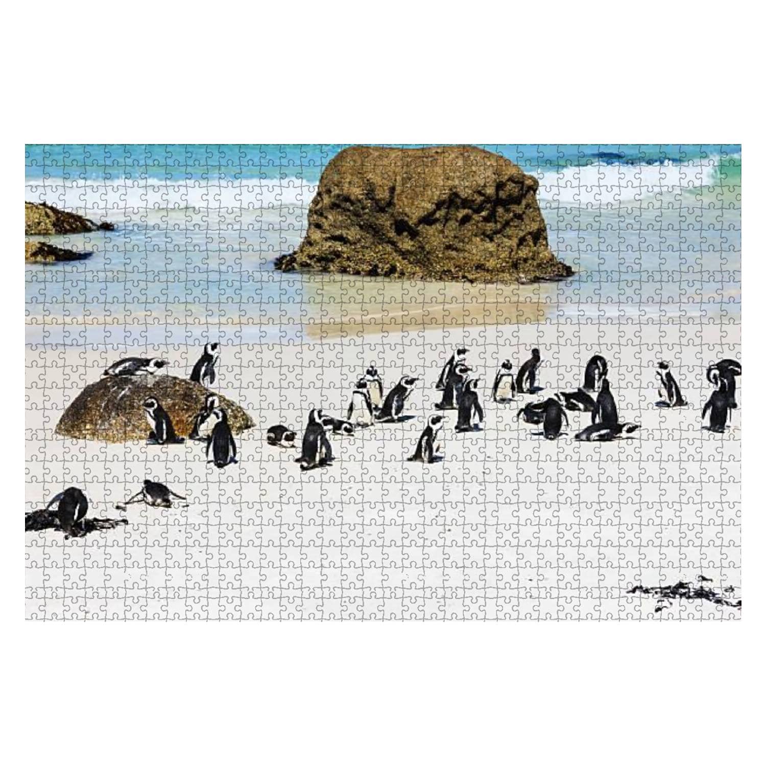 1000-Piece Wooden Jigsaw Puzzle - African Penguins at Boulders Beach Colony Cape Town | Educational Puzzle for Kids & Adults | Stress Relief & Family Game Night Activity | Perfect Gift for Animal Lovers & Puzzle Enthusiasts