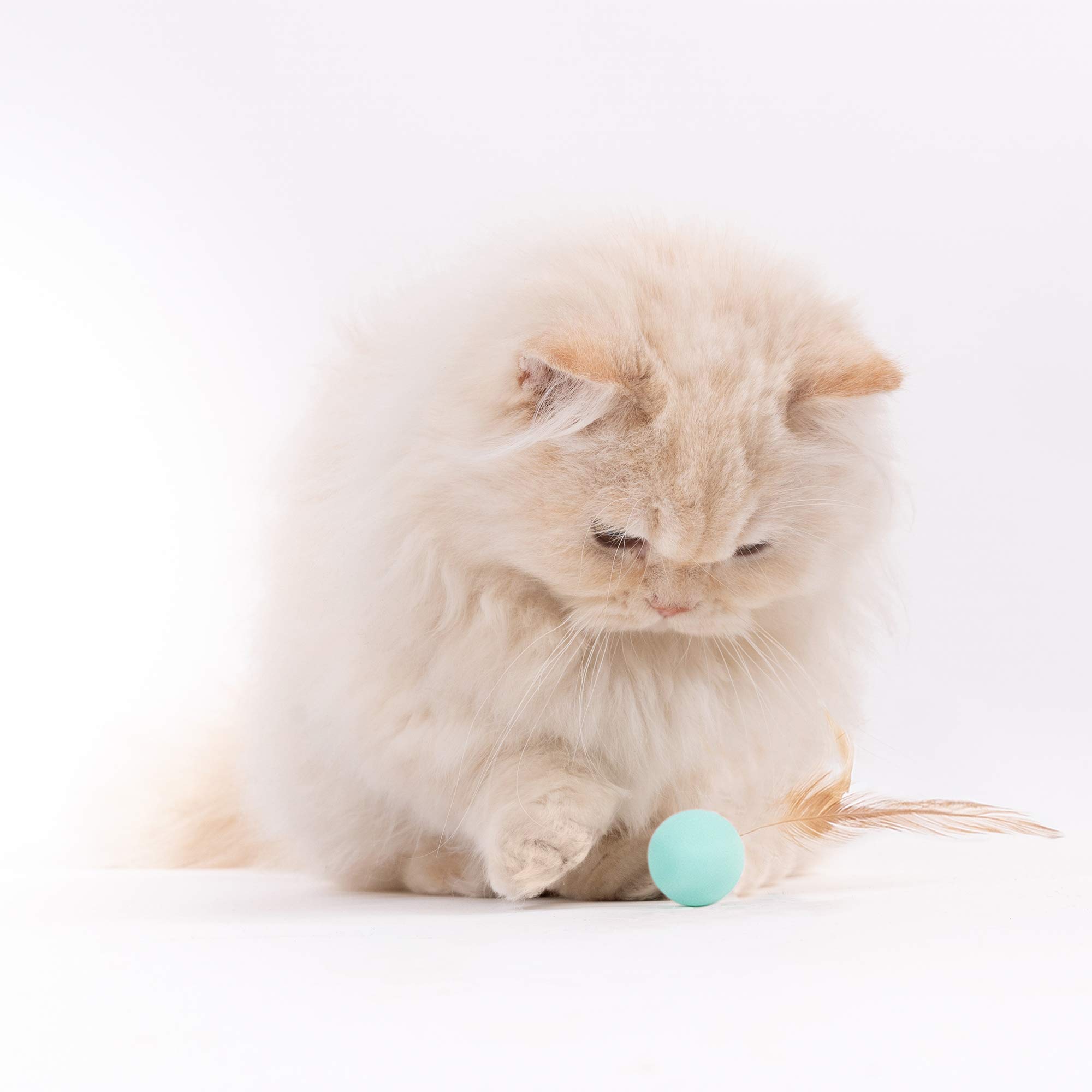 Pidan Interactive Cat Toys - 9PCS Feather & Silicone Ball Set for Indoor Cats - Stimulating Playtime for Kittens & Adult Cats - Perfect for Chasing, Bouncing & Hunting Games