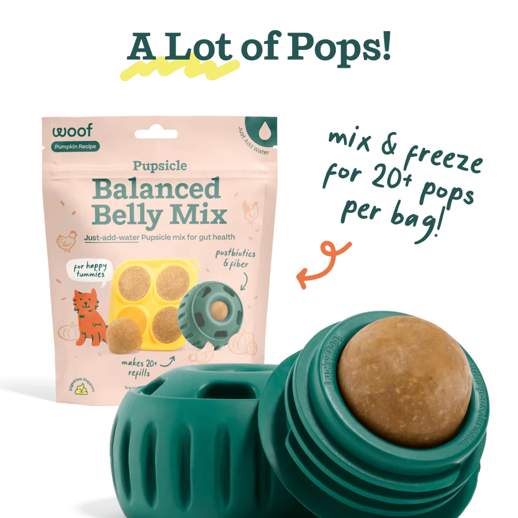 Healthy Homemade Pupsicle Pops for Happy Tummies - Natural Digestive Aid for Dogs - Perfect for Summer Treats & Digestive Support
