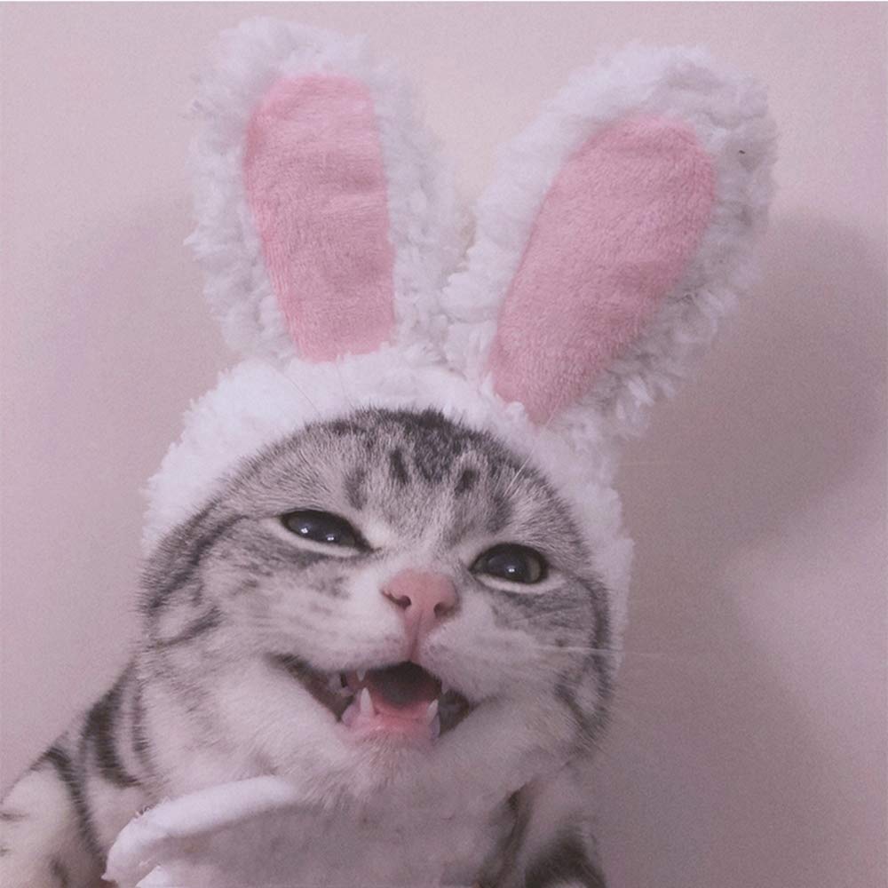 Cute Bunny Ears Headband for Cats & Dogs - Pink Rabbit Costume Halloween Pet Dress Up - Perfect for Halloween Parties, Pet Parades & Photo Shoots