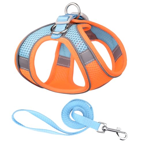Orange and Blue