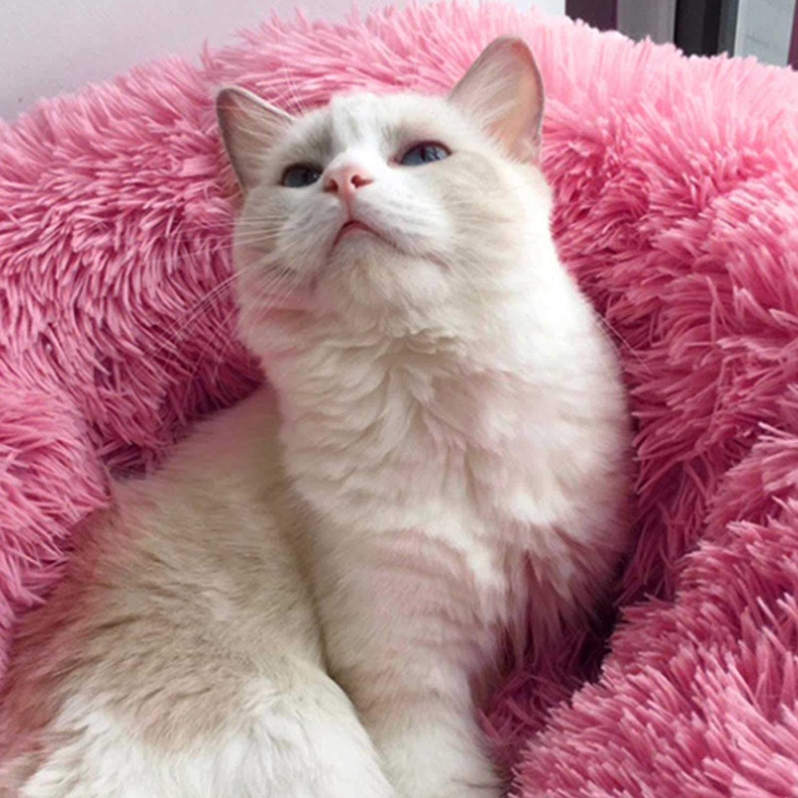 Cozy Pet Cave Bed - Warm & Soft Dog Bed, Cat Bed, Puppy Sleeping Bag - Perfect for Indoor & Outdoor Use, Cuddling & Napping