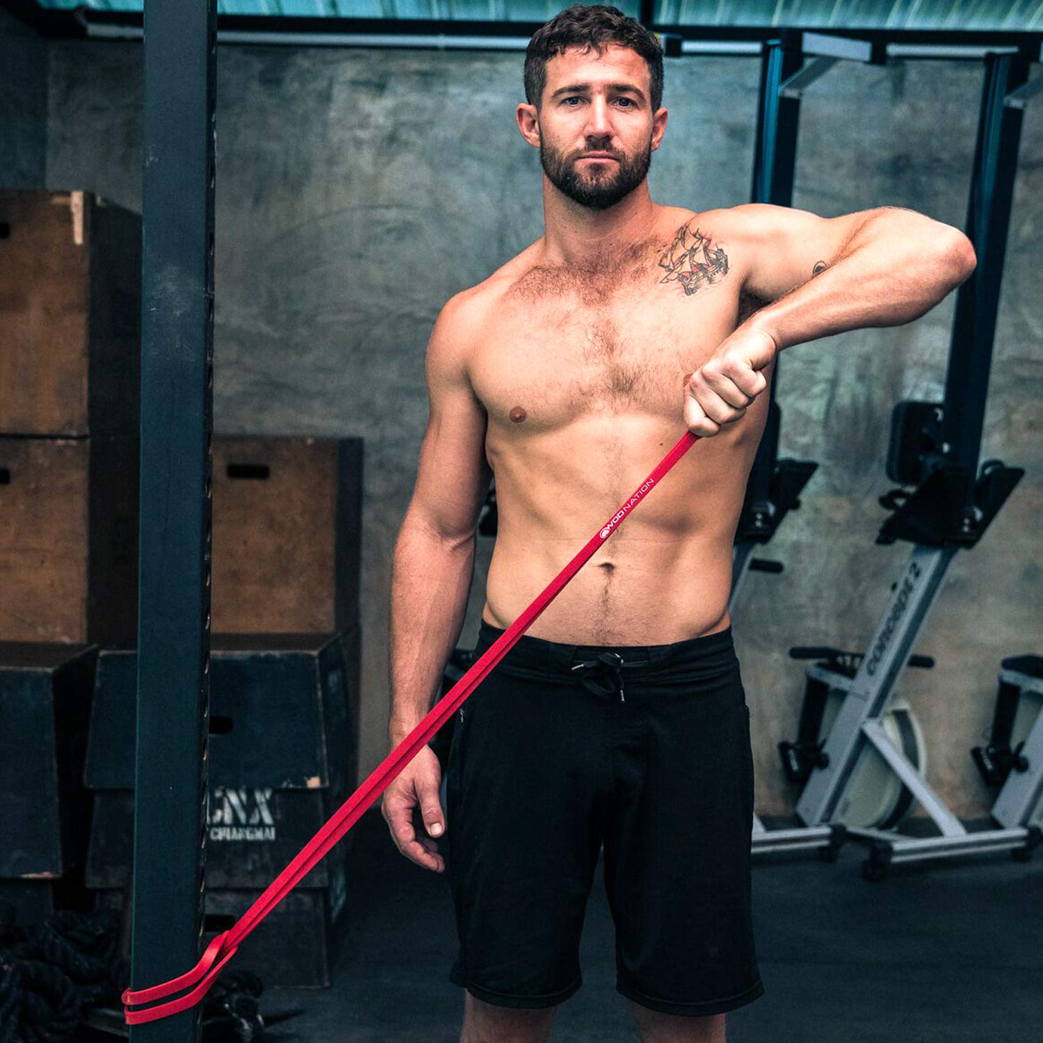 WOD Nation Pull Up Assistance Bands (10-175lbs Resistance) - Premium Workout Bands for Pullups, Chin Ups, Strength Training & Mobility Exercises - 41 Inch Fitness Straps - Perfect for Home Gym, CrossFit & Physical Therapy