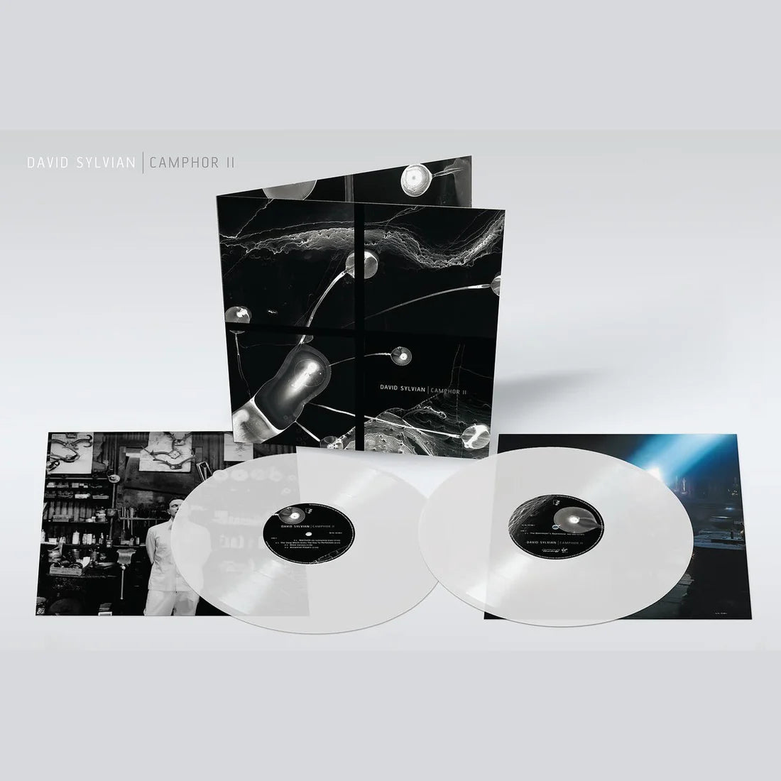 David Sylvian - Camphor II Limited Edition Vinyl LP (Record Store Day Exclusive) - Perfect for Collectors & Audiophiles, Ideal for Home Listening & Music Enthusiasts