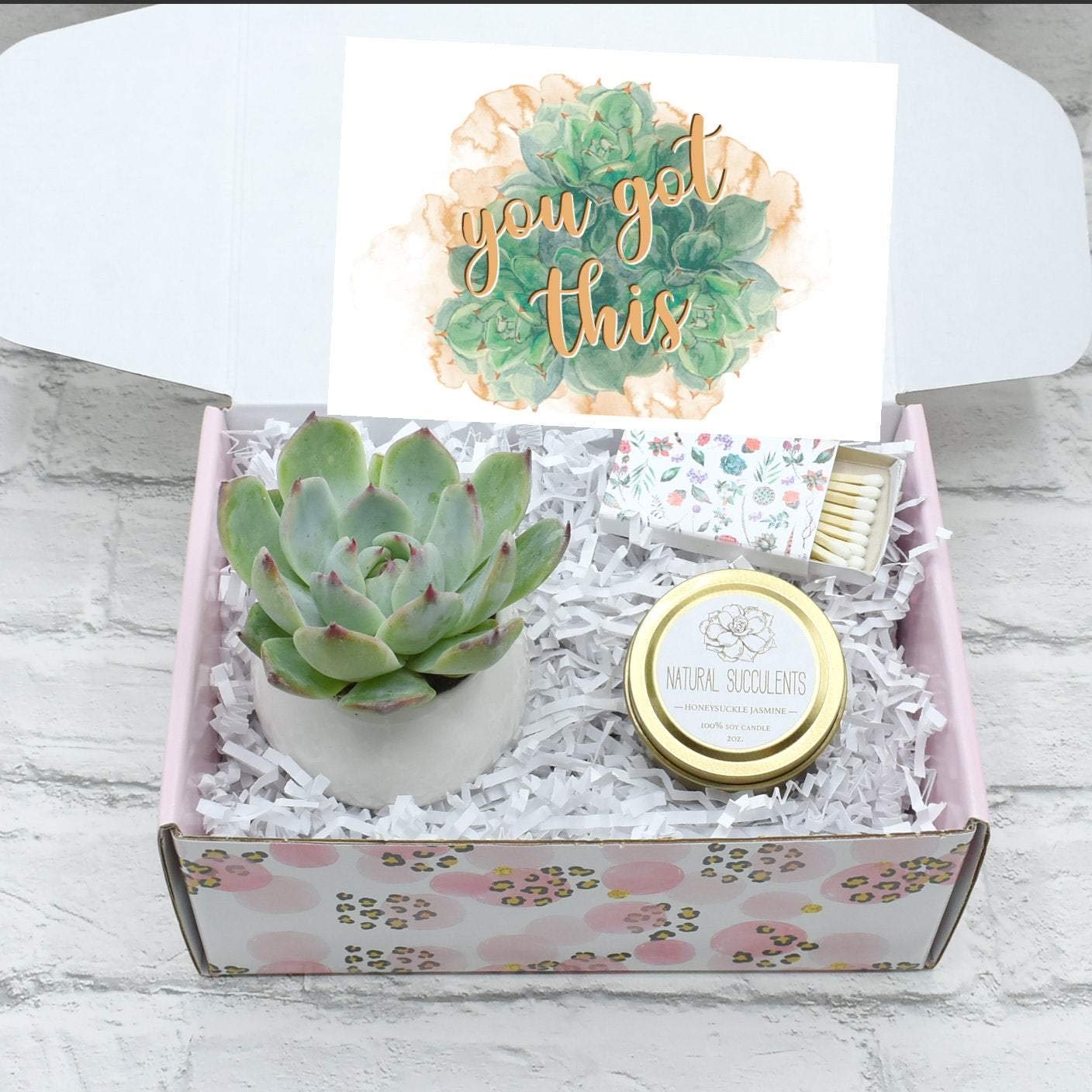 You Got This Gift Box - Encouragement & Succulent Gift Set for Cheering Up, Get Well, or Motivation - Perfect for Friends, Coworkers, or Loved Ones