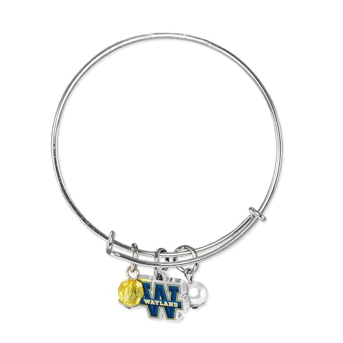 Wayland Baptist
