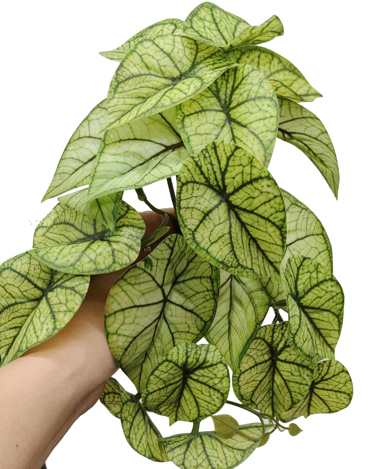 Artificial Hanging Plants for Reptile Terrarium Decor - 2 Pack Green Arrowhead Plants with Suction Cups | Amphibian Habitat Accessories & Reptile Tank Decor | Perfect for Vivariums, Gecko Tanks, and Frog Enclosures