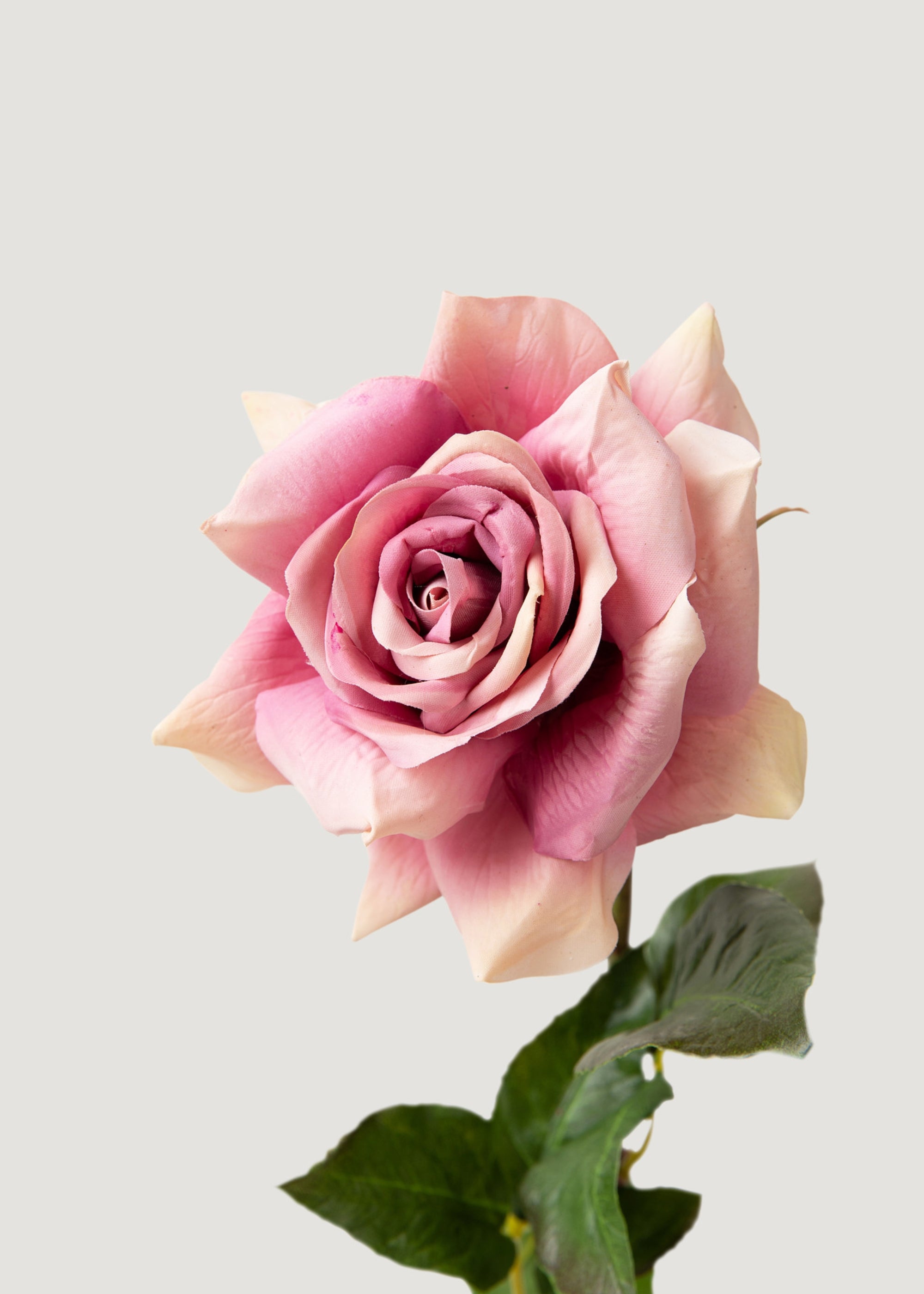 Real Touch Artificial Duchess Rose Bouquet - Dusty Lavender Color - 20 Stems for Wedding Centerpieces, Home Decor, and Gift Giving