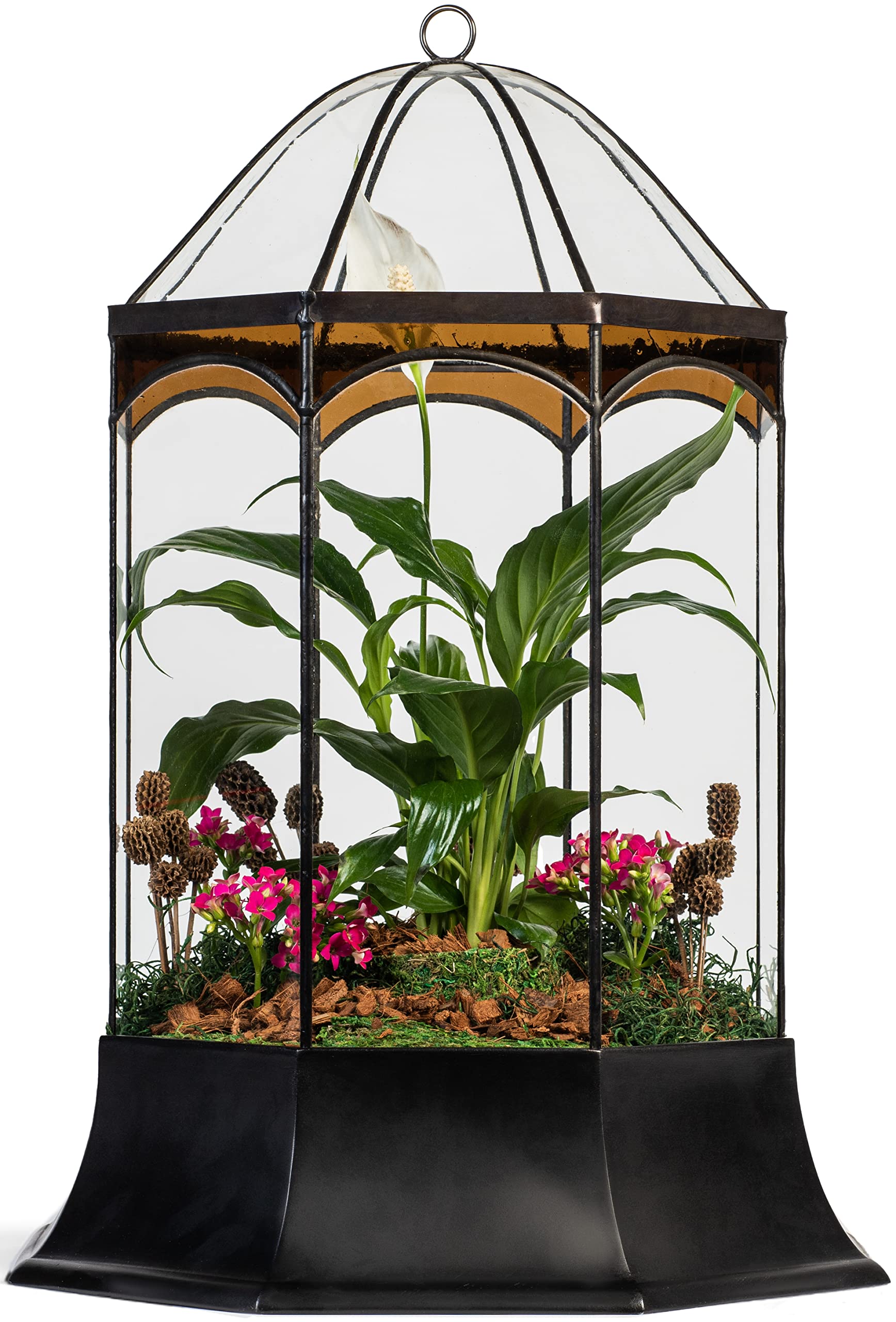 H Potter 8-Sided Terrarium Wardian Case with Curved Glass & Brown Accents - Large Glass Greenhouse for Plants, Succulents & Home Decor | Perfect for Indoor Gardening, Office Decor & Gift Ideas