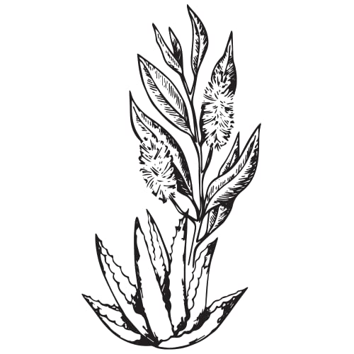 Aloe Tea Tree