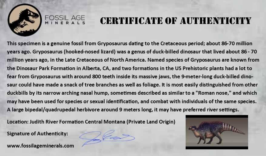 Authentic 0.9