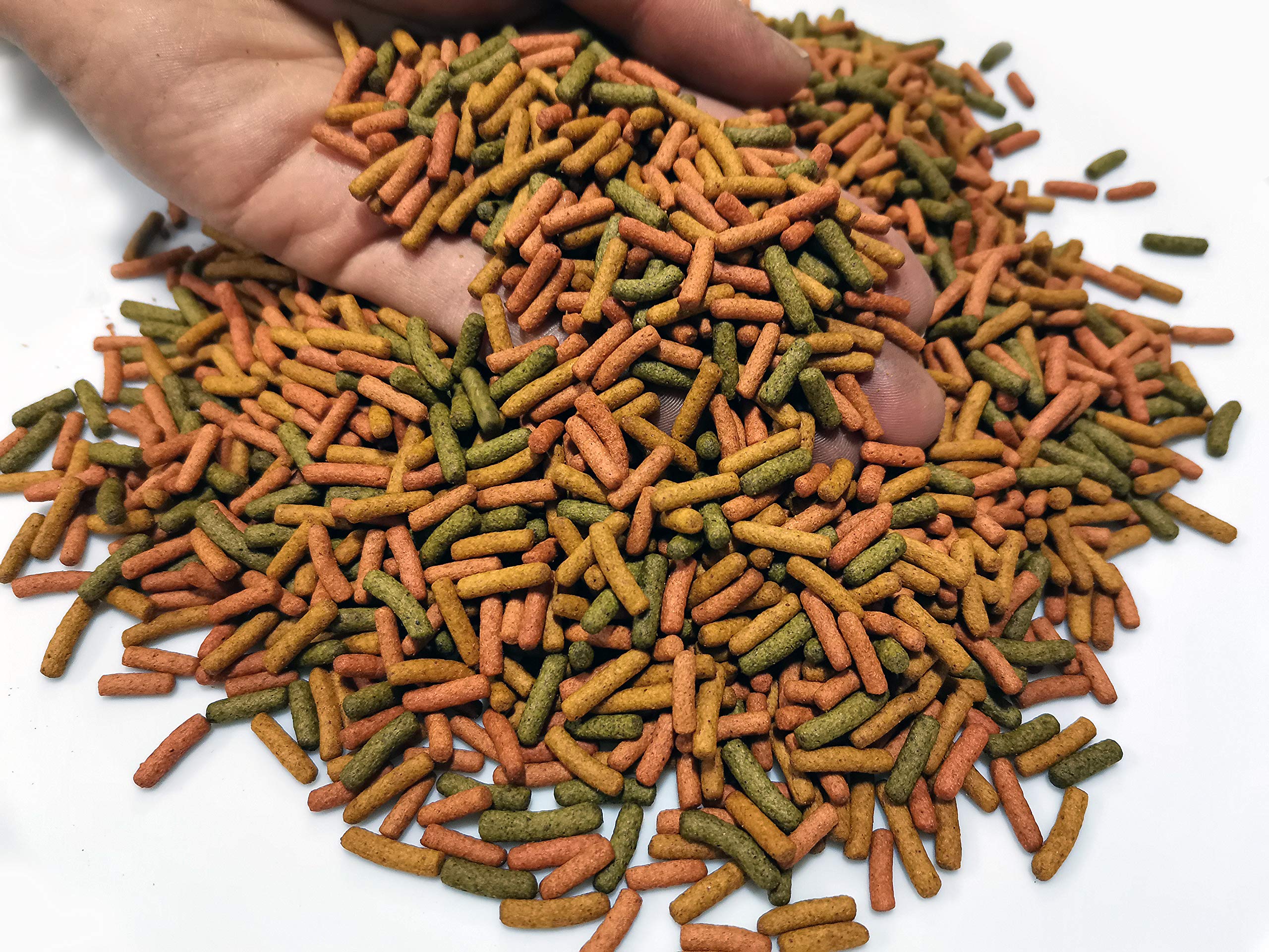 200g Premium Turtle & Terrapin Food Pellets - Nutritious Aquatic Reptile Diet for Water Turtles, Mud Turtles - Ideal for Daily Feeding & Habitat Nutrition