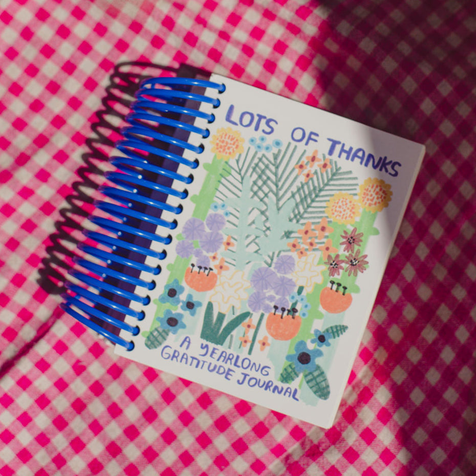 Gratitude Journal for Women & Men - Daily Mindfulness & Self-Care Diary with Prompts - Perfect for Stress Relief, Anxiety, Positive Thinking & Personal Growth